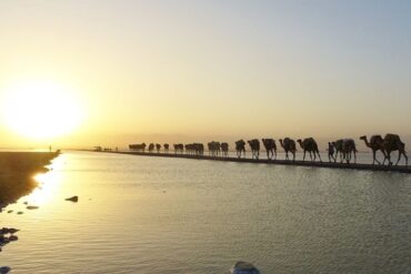 Halal salt expedition in Danakil Depression and Lake Afdera Ethiopia