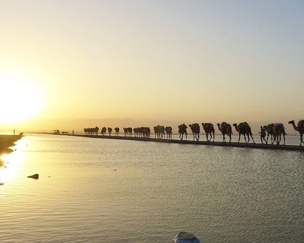 Halal salt expedition in Danakil Depression and Lake Afdera Ethiopia