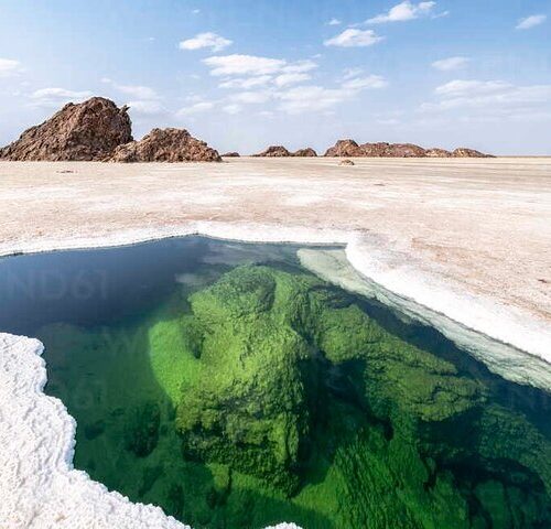 Halal salt expedition in Danakil Depression and Lake Afdera Ethiopia