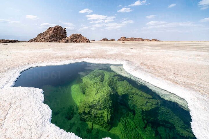 Halal salt expedition in Danakil Depression and Lake Afdera Ethiopia