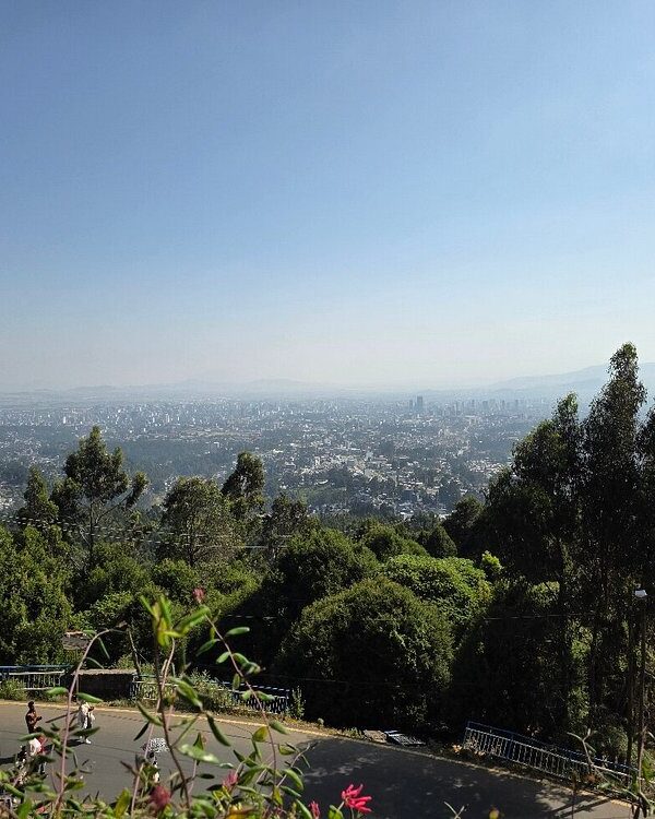 Halal half‑day tour of Entoto Hills and Addis Ababa panorama