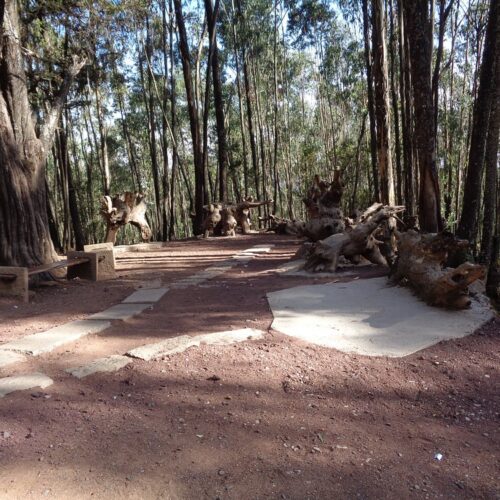 Halal half‑day tour of Entoto Hills and Addis Ababa panorama