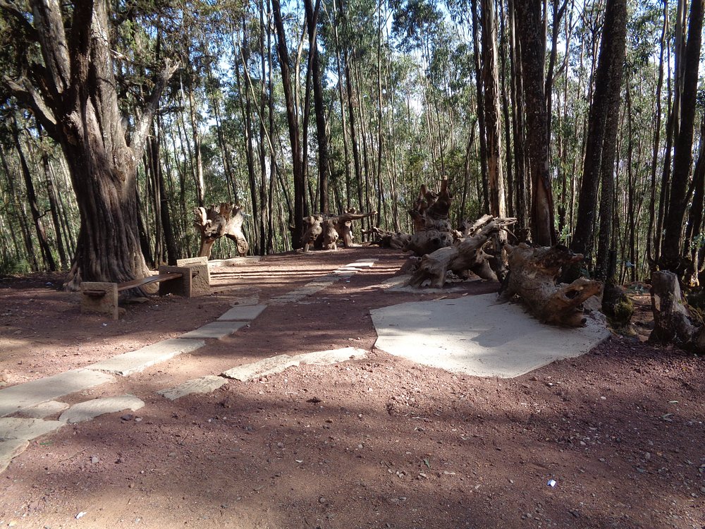 Halal half‑day tour of Entoto Hills and Addis Ababa panorama