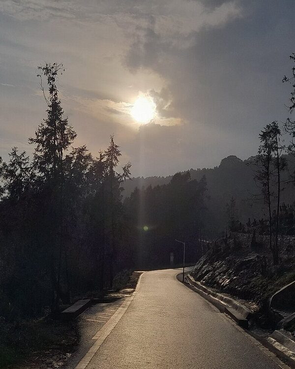 Halal half‑day tour of Entoto Hills and Addis Ababa panorama