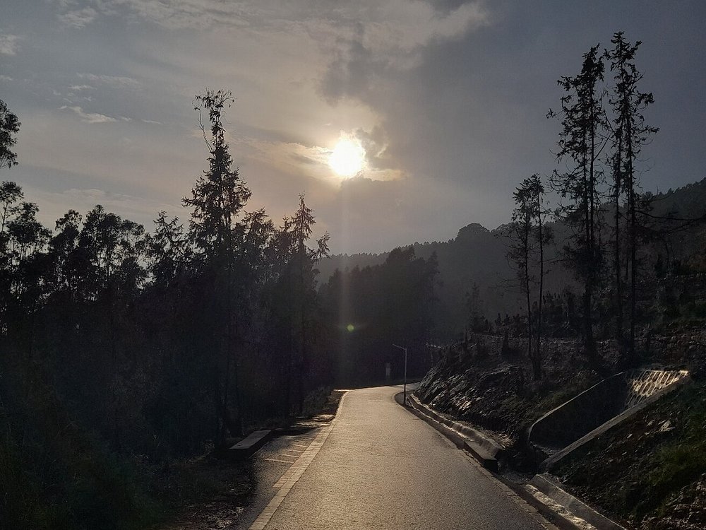 Halal half‑day tour of Entoto Hills and Addis Ababa panorama