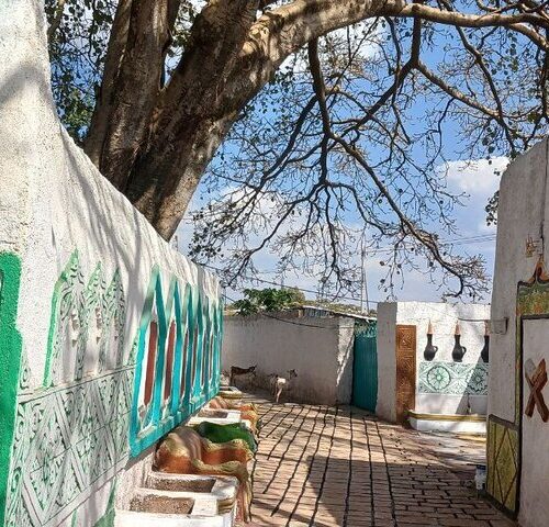 Halal coffee and heritage farm tour in Harar Ethiopia