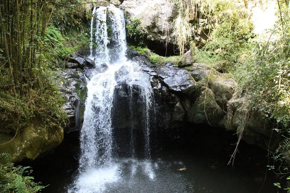 Luxury halal retreat Bale Mountains wolf trekking Ethiopia