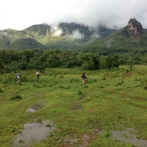 Luxury halal retreat Bale Mountains wolf trekking Ethiopia