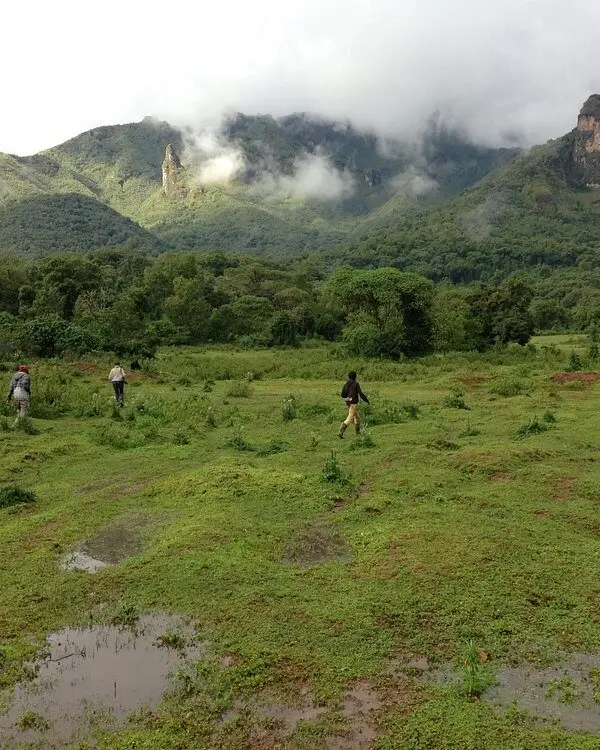 Luxury halal retreat Bale Mountains wolf trekking Ethiopia
