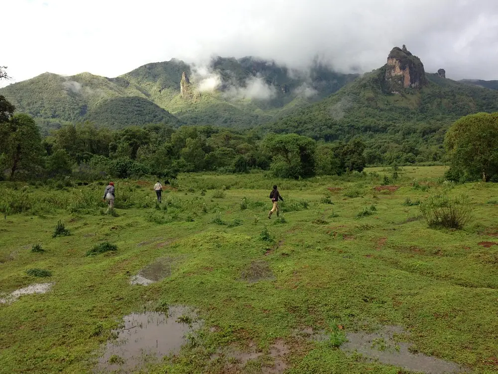 Luxury halal retreat Bale Mountains wolf trekking Ethiopia