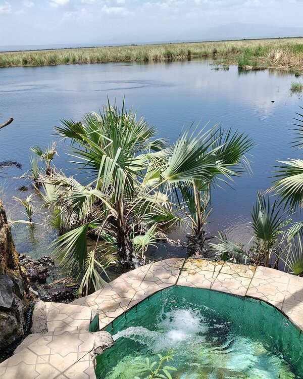 Halal safari adventure in Awash National Park Ethiopia