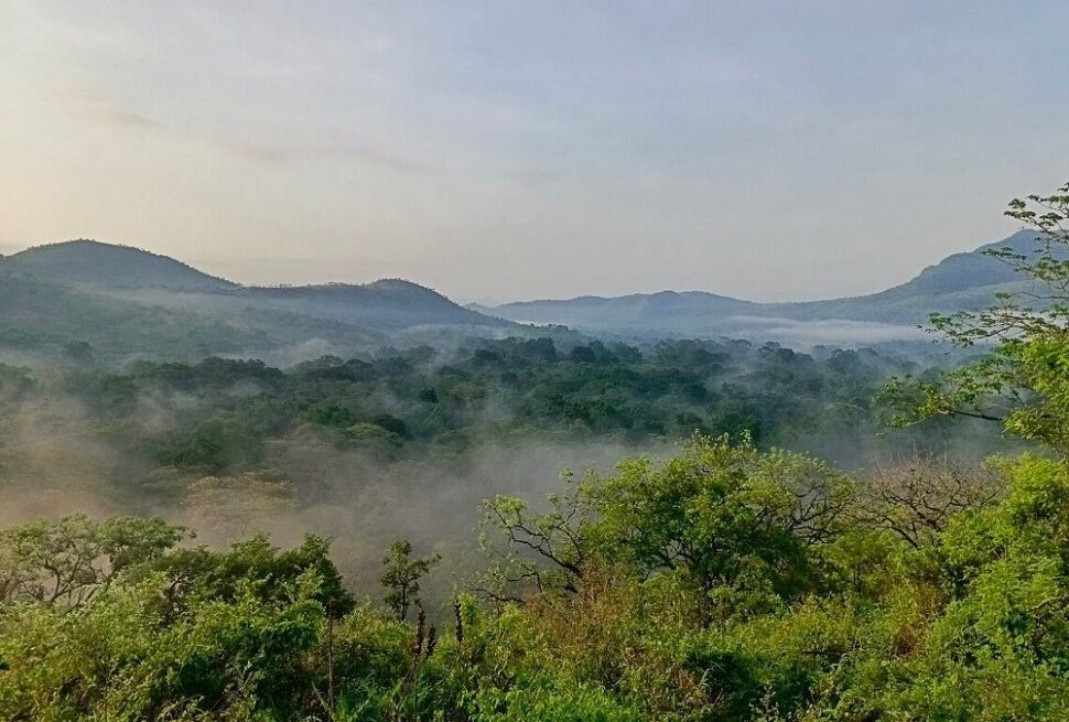 Halal safari in Chebera Churchura National Park Ethiopia
