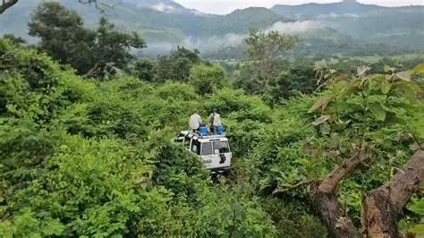 Halal jungle safari adventure in Ethiopia